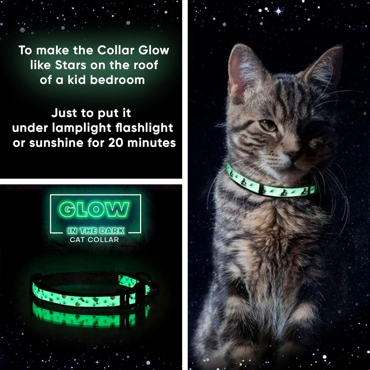 Glow in the Dark Cat Collar with Safety Buckle and Removable Bell Cat Collar Kitten Collar Cat Collar