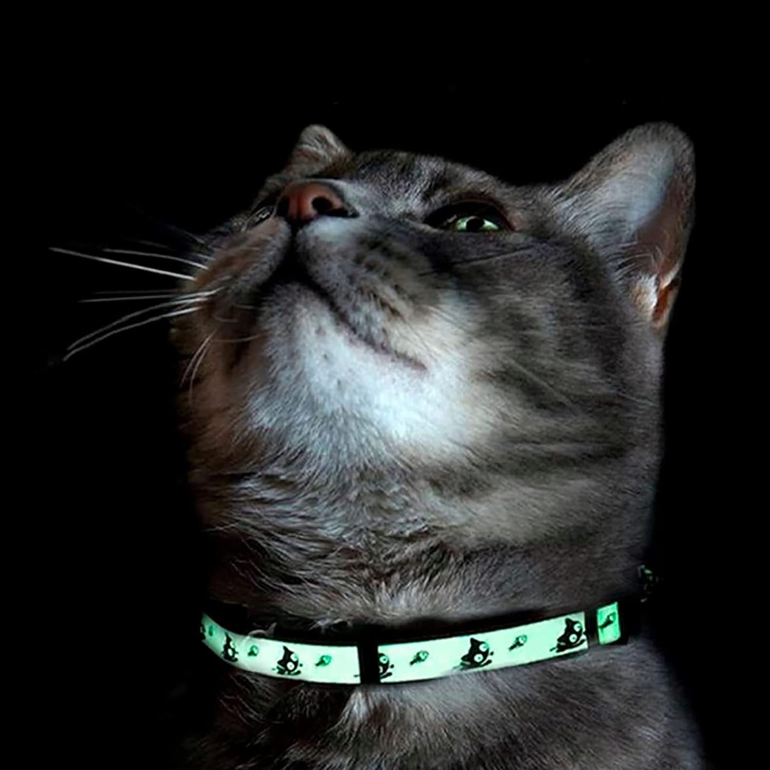 Glow in the Dark Cat Collar with Safety Buckle and Removable Bell Cat Collar Kitten Collar Cat Collar